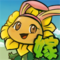 嫁接植物大戰(zhàn)僵尸