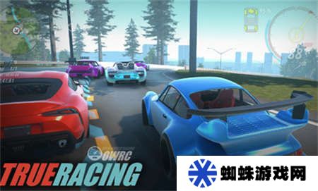 OWRC開放世界